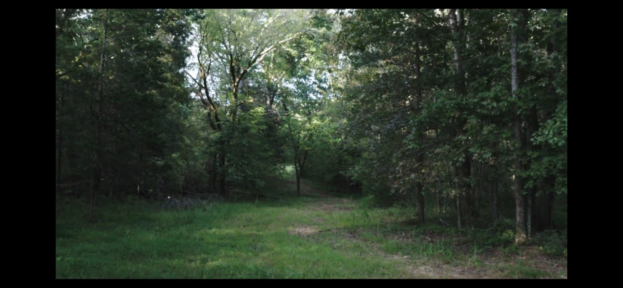 4840 Joe Peay Rd Property Photo 13