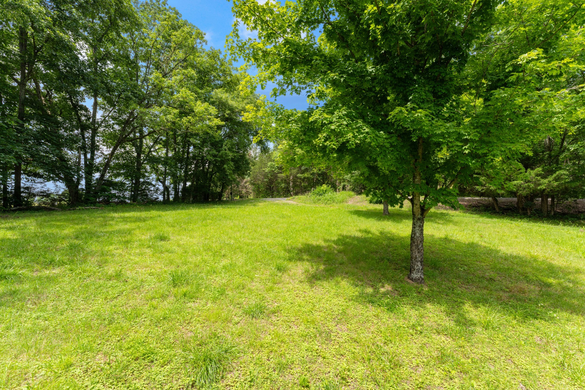 213 Delina Boonshill Rd Property Photo 47