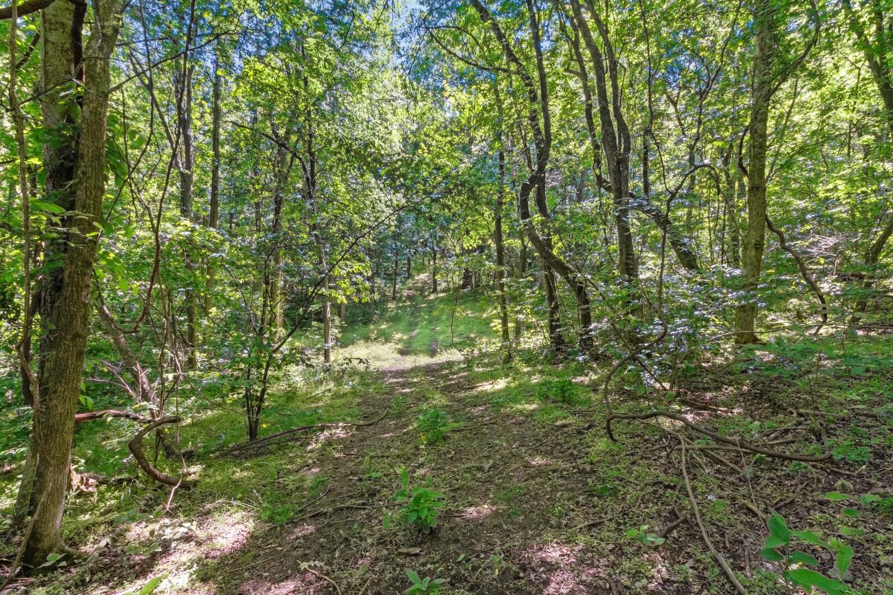 402 Cortner Hollow Rd Property Photo 19