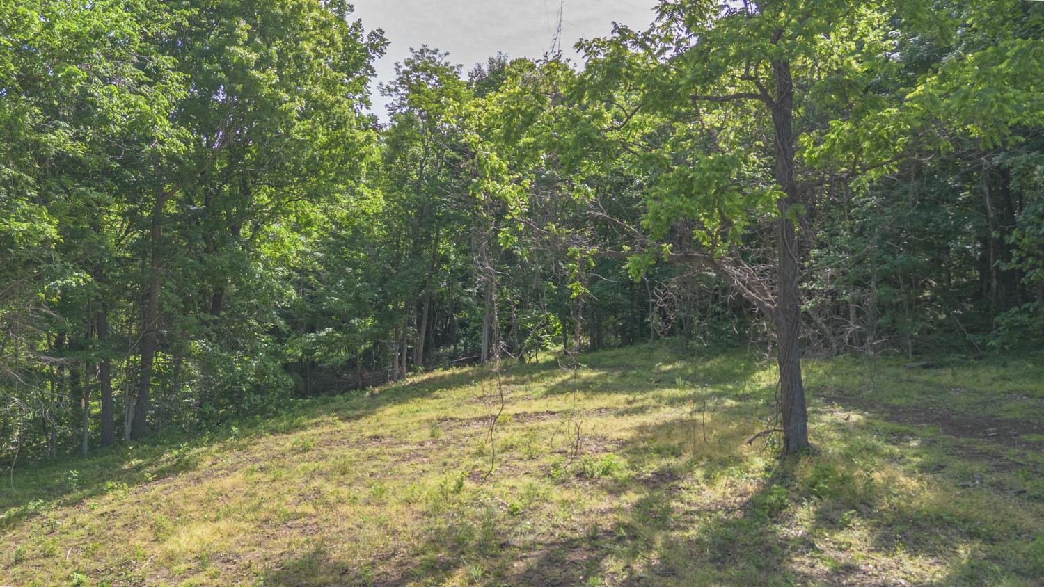 402 Cortner Hollow Rd Property Photo 35