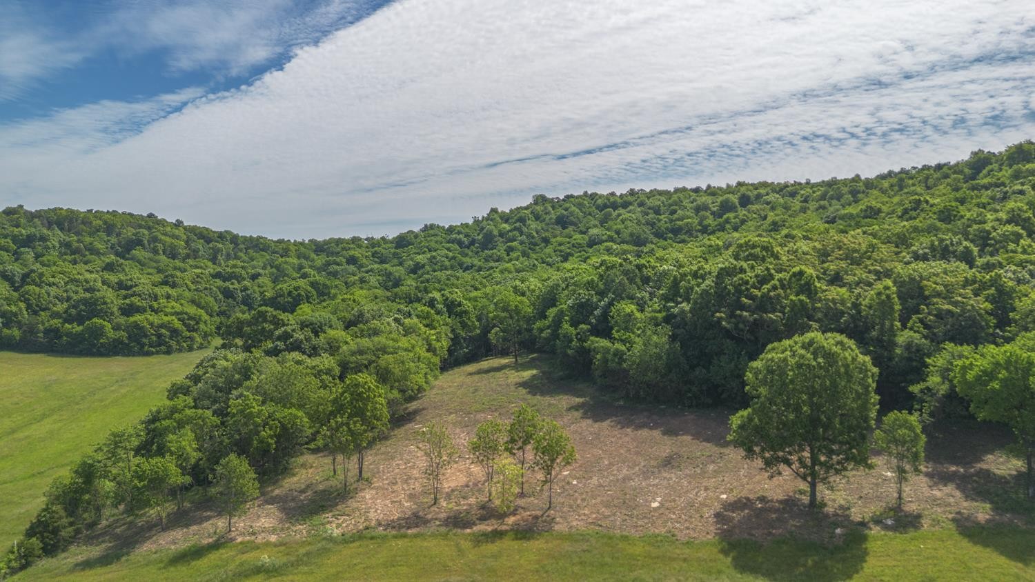 402 Cortner Hollow Rd Property Photo 38