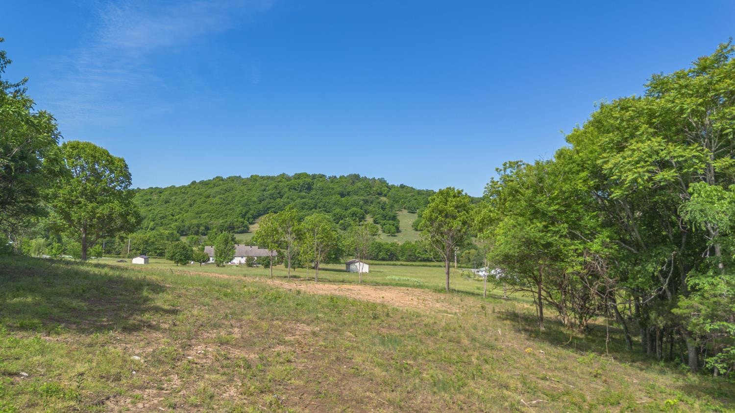 402 Cortner Hollow Rd Property Photo 39