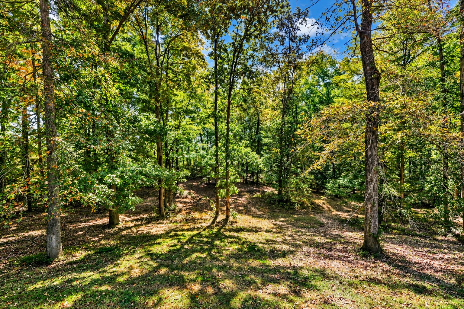 2524 Antioch Church Rd Property Photo 53