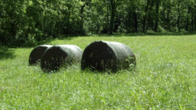 5155 Brimstone Creek Rd Property Photo 3