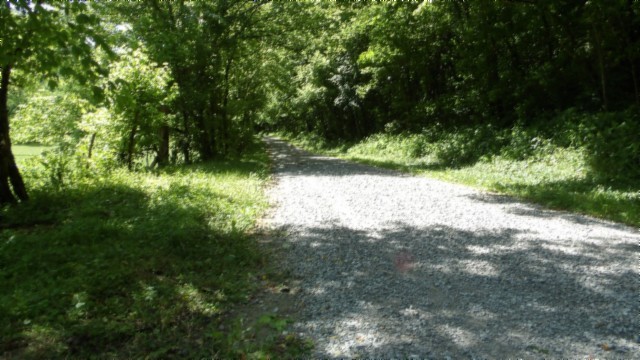 5155 Brimstone Creek Rd Property Photo 6