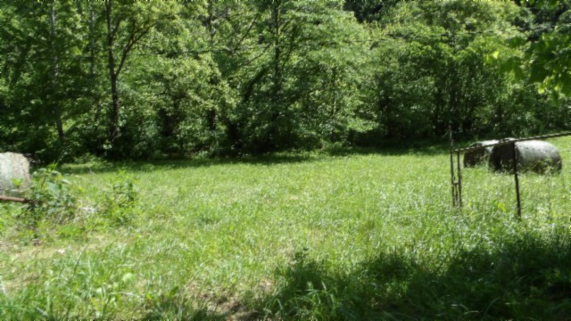 5155 Brimstone Creek Rd Property Photo 7