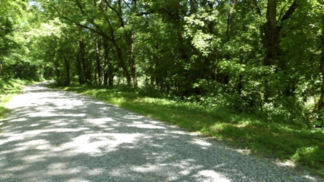 5155 Brimstone Creek Rd Property Photo 9