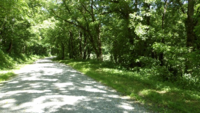 5155 Brimstone Creek Rd Property Photo 10