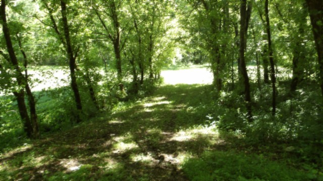5155 Brimstone Creek Rd Property Photo 11