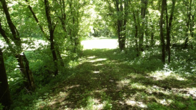 5155 Brimstone Creek Rd Property Photo 12