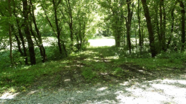 5155 Brimstone Creek Rd Property Photo 13