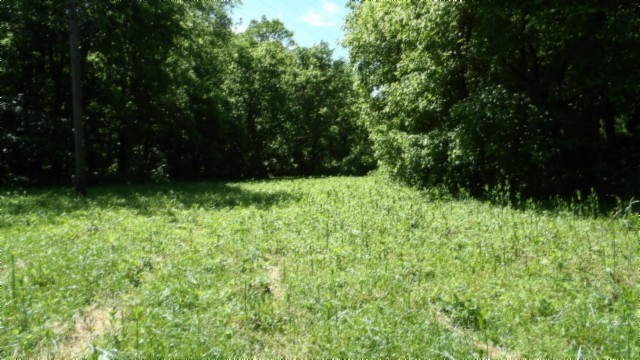 5155 Brimstone Creek Rd Property Photo 14