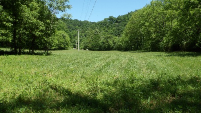 5155 Brimstone Creek Rd Property Photo 19