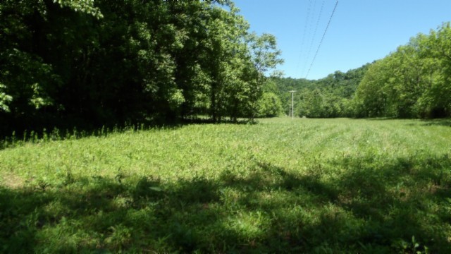 5155 Brimstone Creek Rd Property Photo 20
