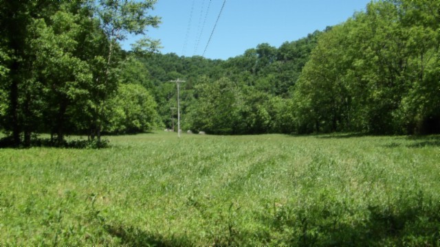 5155 Brimstone Creek Rd Property Photo 22