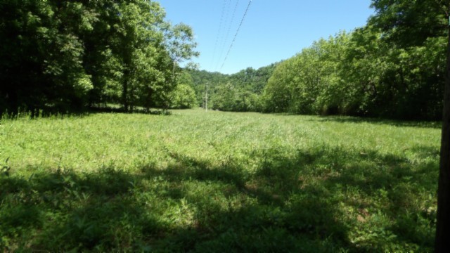 5155 Brimstone Creek Rd Property Photo 23