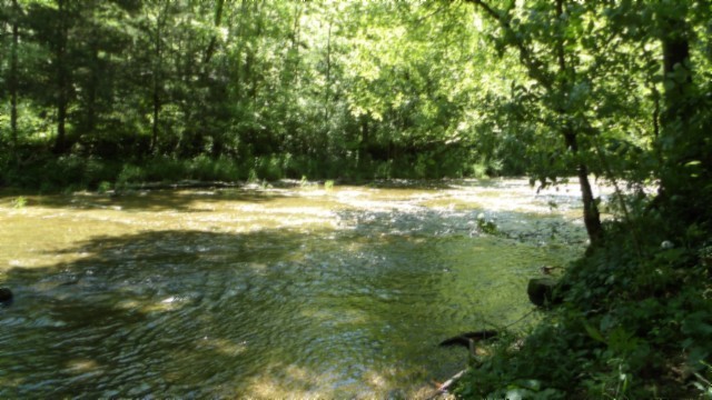 5155 Brimstone Creek Rd Property Photo 24