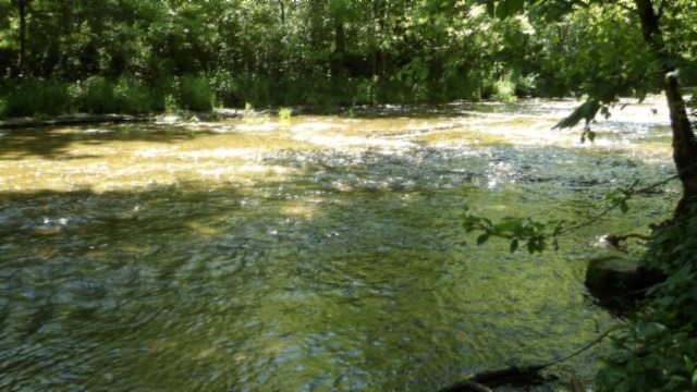 5155 Brimstone Creek Rd Property Photo 26