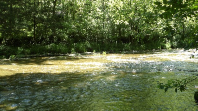 5155 Brimstone Creek Rd Property Photo 27