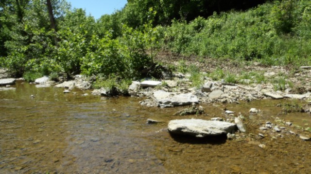 5155 Brimstone Creek Rd Property Photo 29