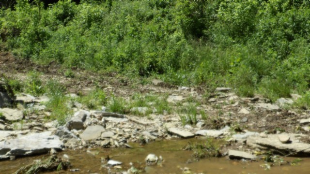 5155 Brimstone Creek Rd Property Photo 30