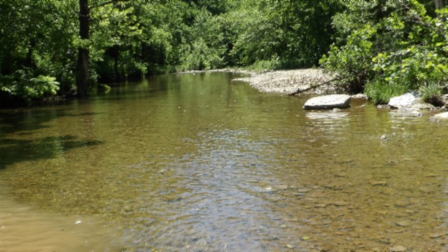 5155 Brimstone Creek Rd Property Photo 31