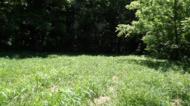5155 Brimstone Creek Rd Property Photo 32