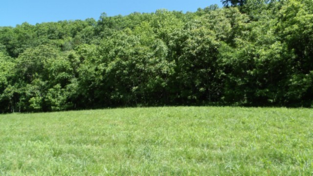5155 Brimstone Creek Rd Property Photo 33