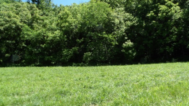 5155 Brimstone Creek Rd Property Photo 34