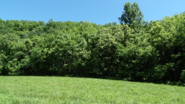 5155 Brimstone Creek Rd Property Photo 35
