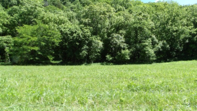 5155 Brimstone Creek Rd Property Photo 36