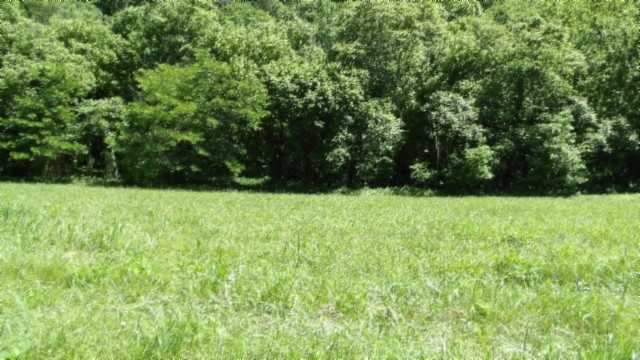 5155 Brimstone Creek Rd Property Photo 37