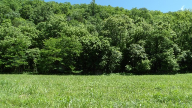 5155 Brimstone Creek Rd Property Photo 38
