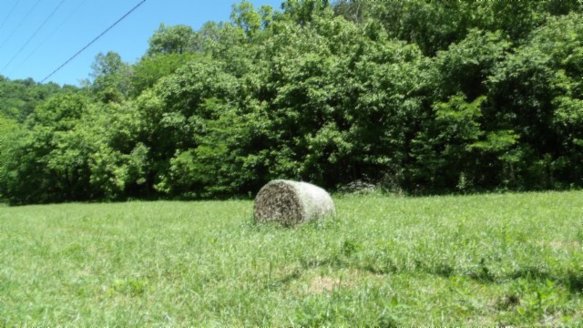 5155 Brimstone Creek Rd Property Photo 39