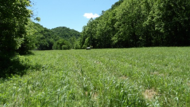 5155 Brimstone Creek Rd Property Photo 40