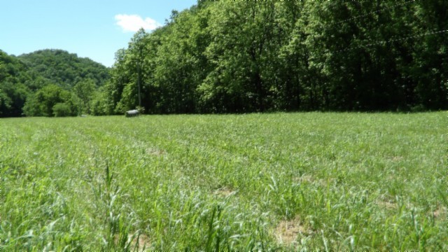 5155 Brimstone Creek Rd Property Photo 41