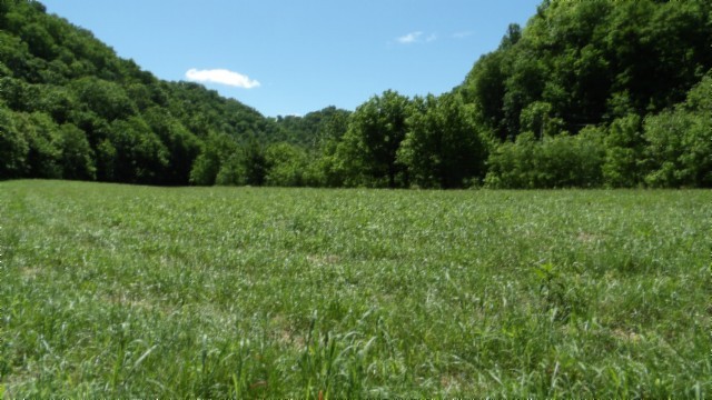 5155 Brimstone Creek Rd Property Photo 42