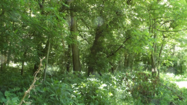 5155 Brimstone Creek Rd Property Photo 48