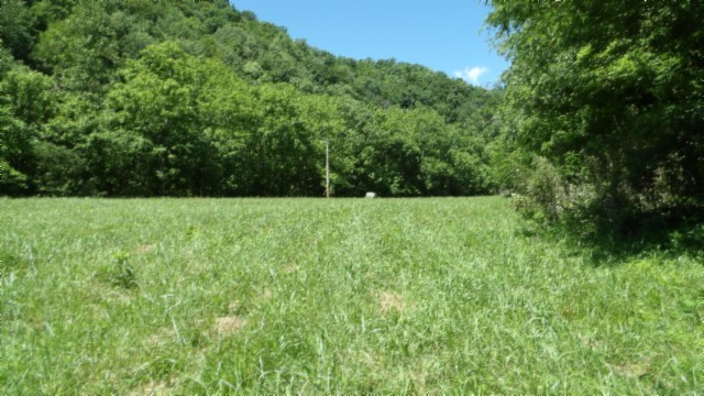 5155 Brimstone Creek Rd Property Photo 51