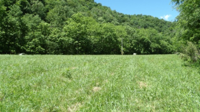 5155 Brimstone Creek Rd Property Photo 52