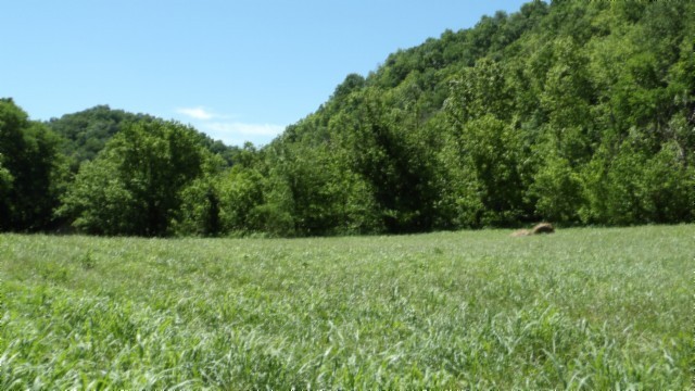 5155 Brimstone Creek Rd Property Photo 53
