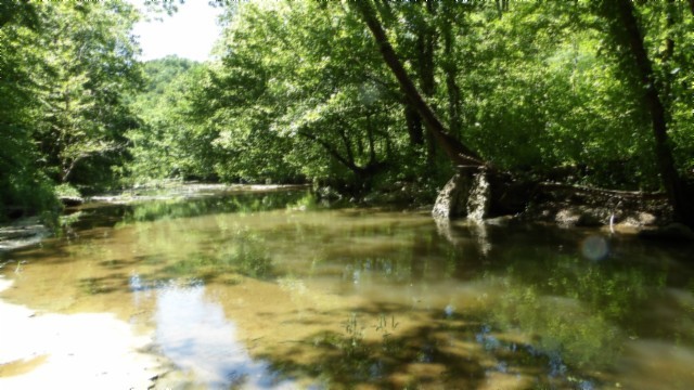 5155 Brimstone Creek Rd Property Photo 54