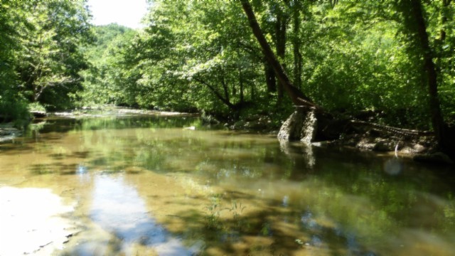 5155 Brimstone Creek Rd Property Photo 57