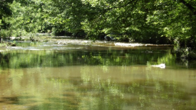 5155 Brimstone Creek Rd Property Photo 58
