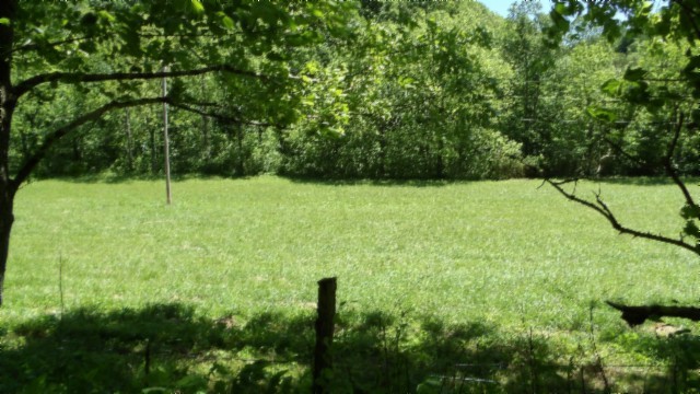5155 Brimstone Creek Rd Property Photo 59