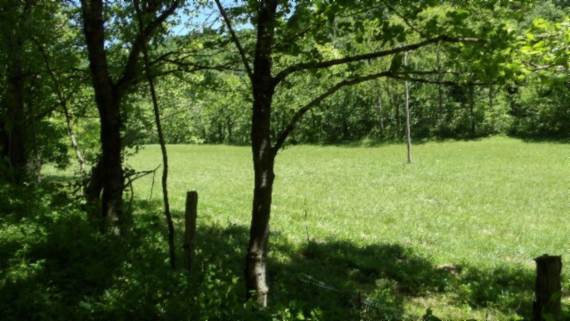 5155 Brimstone Creek Rd Property Photo 60