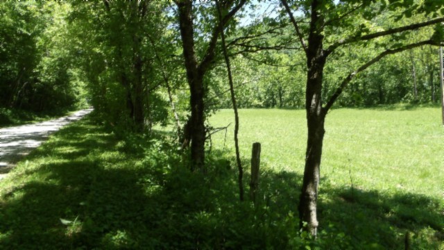 5155 Brimstone Creek Rd Property Photo 61