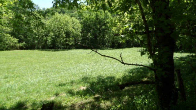 5155 Brimstone Creek Rd Property Photo 62