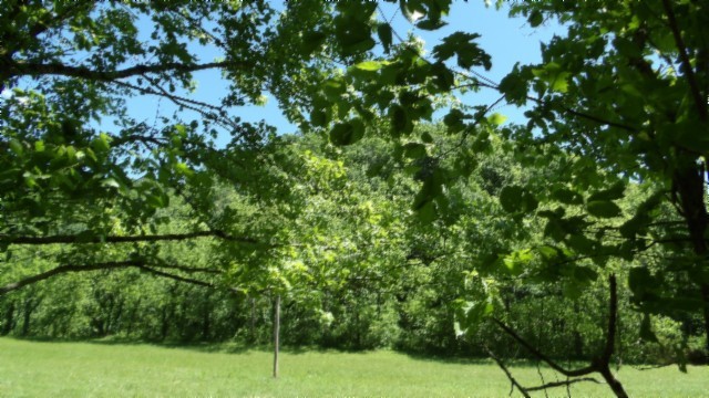 5155 Brimstone Creek Rd Property Photo 63