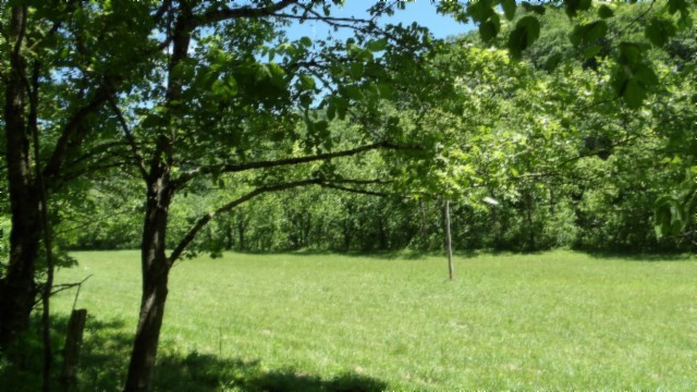 5155 Brimstone Creek Rd Property Photo 64